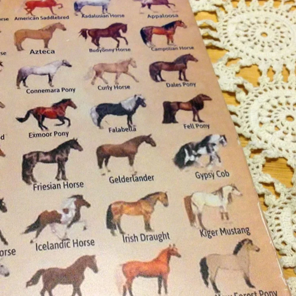 Equine types, sign showing different horse breeds